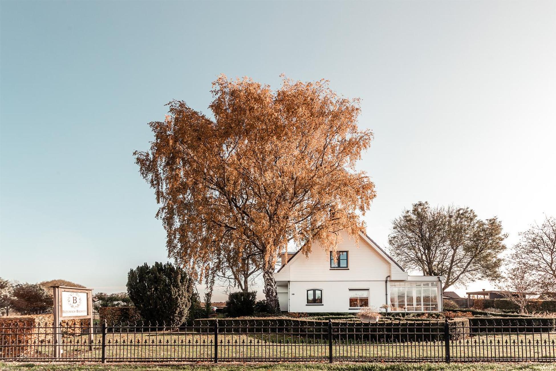 Bed and Breakfast Betuwsch Badhuys Lienden Экстерьер фото